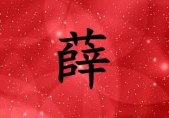 ѦŮ_ѦŮ100