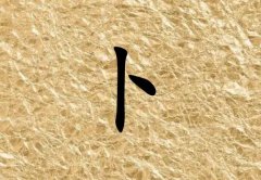 ղк_ղк100