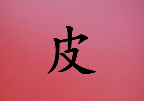 ƤŮ_ƤŮ100