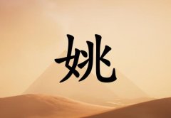 ҦŮ_ҦŮ100