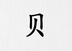 ձŮ_ձŮ100