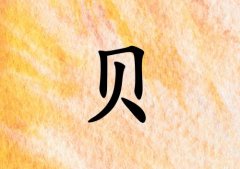 ձŮ_ձŮ100