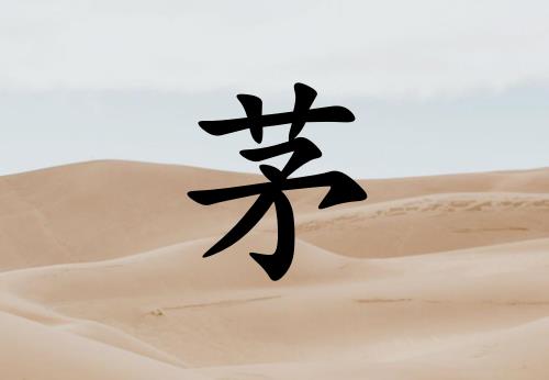 éŮ_éŮ100