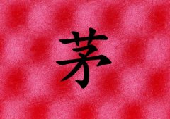 éŮ_éŮ100