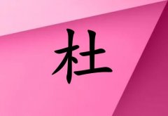 նŮ_նŮ100