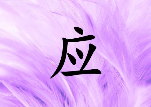 ӦŮ_ӦŮ100