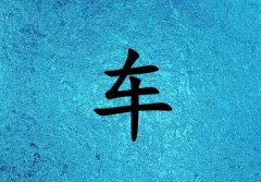 ճкˮ_ճкˮ100