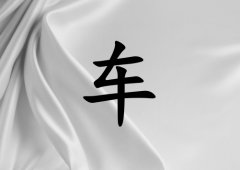 ճŮ_ճŮ100