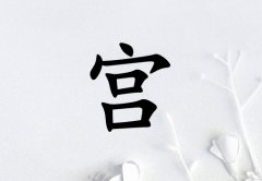 չŮ_չŮ100