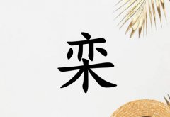 Ů_Ů100