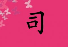 ˾Ů_˾Ů100