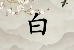 հŮ_հŮ100