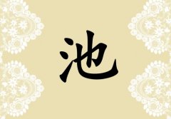 ճŮ_ճŮ100