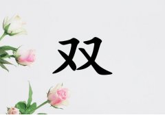 ˫Ů_˫Ů100