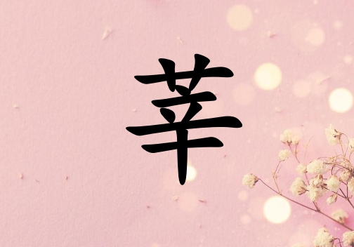 ݷŮ_ݷŮ100