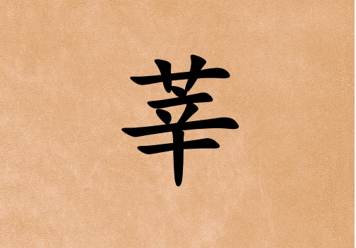 ݷŮ_ݷŮ100