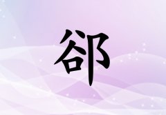 SŮ_SŮ100