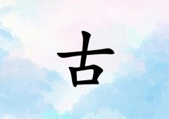 չкˮ_չкˮ100