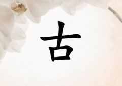 չŮ_չŮ100