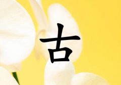 չŮ_չŮ100