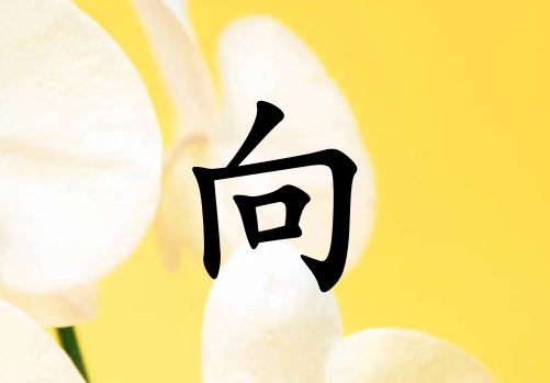 Ů_Ů100