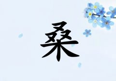 ɣкˮ_ɣкˮ100