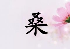 ɣк_ɣк100