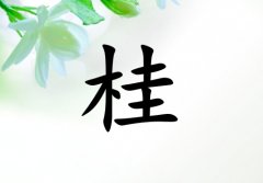 չкľ_չкľ100