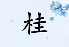 չкˮ_չкˮ100