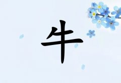 ţкˮ_ţкˮ100
