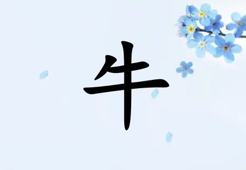 ţкˮ_ţкˮ100