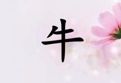 ţк_ţк100