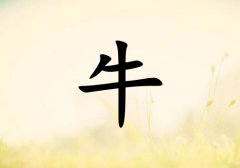 ţк_ţк100