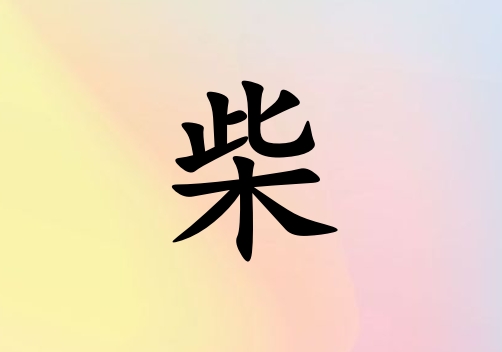 ղŮ_ղŮ100