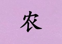 ũŮ_ũŮ100