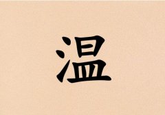 Ů_Ů100