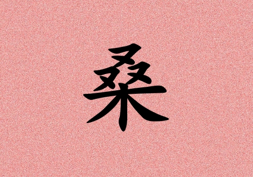 ɣŮ_ɣŮ100