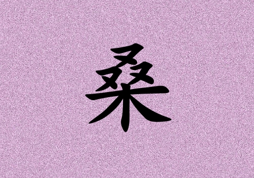 ɣŮ_ɣŮ100