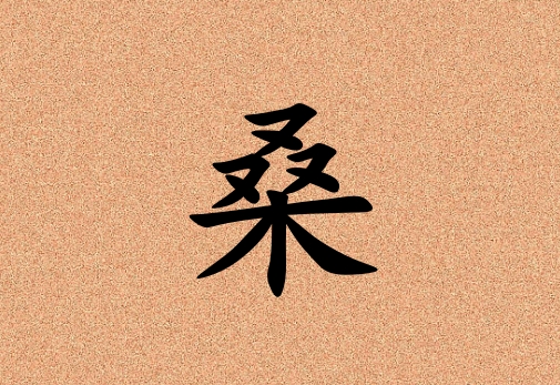 ɣŮ_ɣŮ100