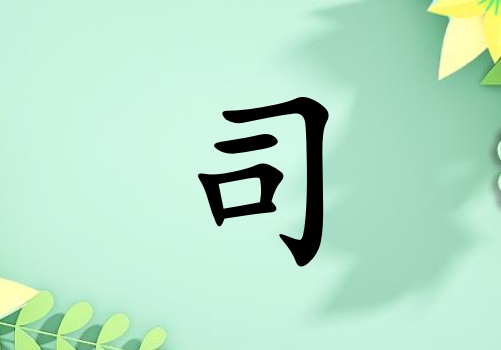 ˾Ůľ_˾Ůľ100