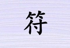 շк_շк100