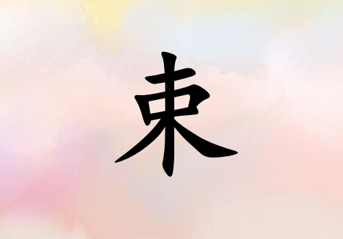 Ů_Ů100