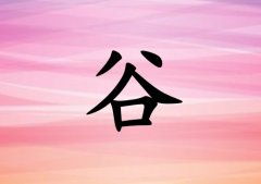 չŮ_չŮ100