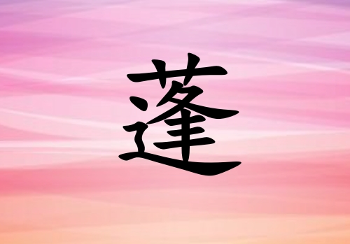 Ů_Ů100