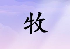 Ů_Ů100