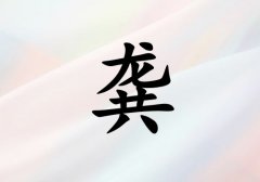 չŮ_չŮ100