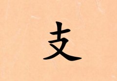 ֧кˮ_֧кˮ100