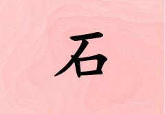 ʯŮ_ʯŮ100