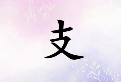 ֧Ůˮ_֧Ůˮ100