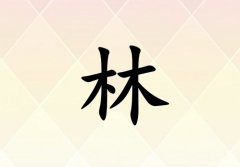 Ů_Ů100